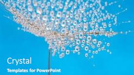 Presentation with dandelion - Presentation theme featuring dandelion-flower-background-in-water background and a teal colored foreground