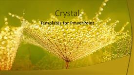  Presentation with water color - Slide set with dandelion-flower-nature-background background and a gold colored foreground