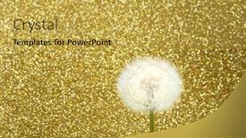  Presentation with blue flower - Theme consisting of dandelion-flower-on-blue-glitter background and a yellow colored foreground