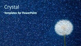  Presentation with glitter - Beautiful theme featuring dandelion-flower-on-blue-glitter backdrop and a ocean colored foreground