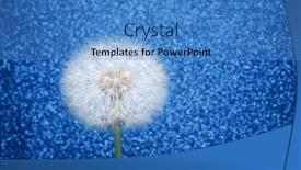  Presentation with glitter - PPT layouts with dandelion-flower-on-blue-glitter background and a teal colored foreground
