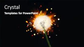  Presentation with firework - Presentation theme enhanced with dandelion-flower-on-shiny-firework background and a black colored foreground