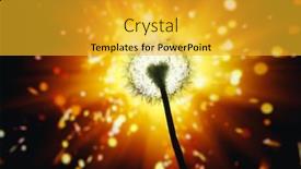  Presentation with firework - Beautiful slide set featuring dandelion-flower-silhouette-on-shiny backdrop and a gold colored foreground