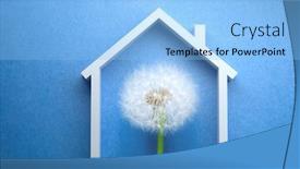  Presentation with blue flower - Presentation design consisting of dandelion-flower-under-the-roof background and a light blue colored foreground