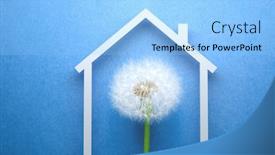  Presentation with blue flower - Presentation theme enhanced with dandelion-flower-under-the-roof background and a light blue colored foreground