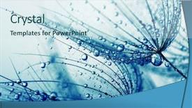  Presentation with water flow in pipe - Amazing presentation design having dandelion flower with water drops backdrop and a sky blue colored foreground
