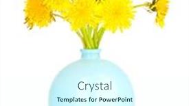 Presentation with flowers vase - Audience pleasing PPT theme consisting of dandelion-flowers-in-vase-isolated backdrop and a cool aqua colored foreground