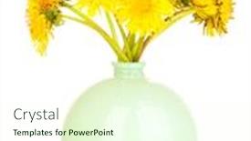  Presentation with flowers vase - Presentation theme enhanced with dandelion-flowers-in-vase-isolated background and a cream colored foreground