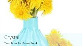  Presentation with flowers vase - Presentation theme consisting of dandelion-flowers-in-vase-isolated background and a cool aqua colored foreground