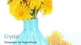  Presentation with flowers vase - Audience pleasing presentation theme consisting of dandelion-flowers-in-vase-isolated backdrop and a cool aqua colored foreground