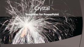  Presentation with black seed - Audience pleasing PPT theme consisting of dandelion fluffy seed on black backdrop and a dark gray colored foreground