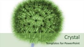  Presentation with earth science green and white - Presentation consisting of dandelion in green on white background and a seafoam green colored foreground