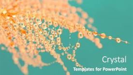  Presentation with seed - Presentation theme featuring dandelion-seed-on-sunlight background and a teal colored foreground