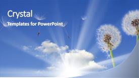  Presentation with seed - Audience pleasing slide deck consisting of dandelion seeds flying backdrop and a teal colored foreground