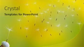  Presentation with green morning - Audience pleasing presentation theme consisting of dandelion-seeds-in-the-morning backdrop and a gold colored foreground