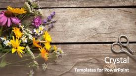  Presentation with rope - Cool new PPT theme with dandelions thyme mint bells rape backdrop and a coral colored foreground