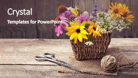  Presentation with thyme - Presentation theme enhanced with dandelions thyme mint bells rape background and a tawny brown colored foreground