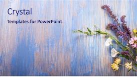  Presentation with flowers - Presentation theme with dandelions thyme mint bells rape background and a sky blue colored foreground