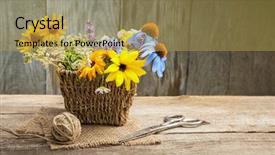  Presentation with flowers vase - Slide set consisting of dandelions thyme mint bells rape background and a yellow colored foreground