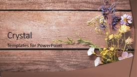  Presentation with thyme - Presentation theme enhanced with dandelions thyme mint bells rape background and a coral colored foreground