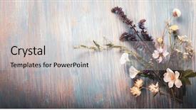  Presentation with blue mint - PPT theme having dandelions thyme mint bells rape background and a light gray colored foreground