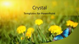  Presentation with meadow - Theme having dandelions with butterfly background and a yellow colored foreground