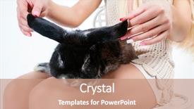  Presentation with young sing woman singing young - Presentation theme consisting of dandle - woman sits on chair background and a coral colored foreground