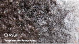  Presentation with texture - Colorful slide set enhanced with dandruff - hair background and texture backdrop and a  colored foreground