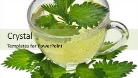  Presentation with nettle - Audience pleasing slide set consisting of dandruff - herbal nettle tea close up backdrop and a yellow colored foreground