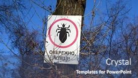  Presentation with meningitis - Presentation design consisting of danger-ticks-ukr-tick-insect background and a ocean colored foreground