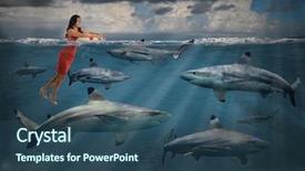  Presentation with sharks - PPT theme enhanced with family childhood fatherhood technology and people concept - happy father and son with tablet playing or having video chat at home background and a gray colored foreground.