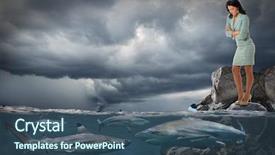 Presentation with sharks - Theme with dangerous animals - competitive business concept with businesswoman background and a ocean colored foreground