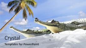  Presentation with indian - Beautiful presentation featuring dangerous animals - indian gharial crocodiles backdrop and a  colored foreground