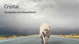  Presentation with asphalt road - Amazing PPT layouts having dangerous cargo - rhino on asphalt road mixed backdrop and a light gray colored foreground