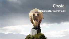  Presentation with rock - Slide set having dangerous cargo - rhino on rock top mixed background and a  colored foreground