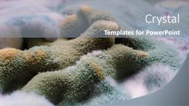  Presentation with mold - Slide set enhanced with dangerous-mold-on-food-close background and a  colored foreground