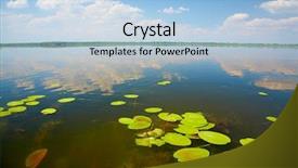  Presentation with danube delta - Amazing PPT theme having danube delta landscape backdrop and a light blue colored foreground