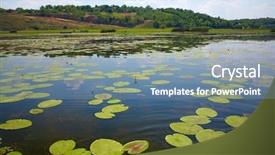  Presentation with danube delta - Beautiful PPT layouts featuring danube delta landscape backdrop and a seafoam green colored foreground