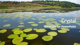  Presentation with danube delta - Colorful slide set enhanced with danube delta landscape backdrop and a seafoam green colored foreground