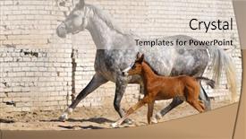  Presentation with foal - Cool new PPT theme with dapple-gray mare and bay foal backdrop and a lemonade colored foreground