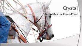 Presentation with cowboy - Slides featuring dappled cowboy's horse showing background and a white colored foreground
