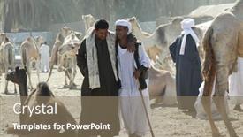  Presentation with livestock - 