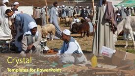  Presentation with livestock - 