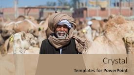  Presentation with camel - 