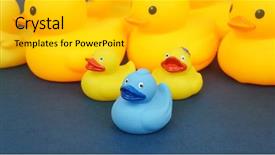  Presentation with rubber duck - Slides consisting of dare different - blue rubber duck surrrounded background and a  colored foreground