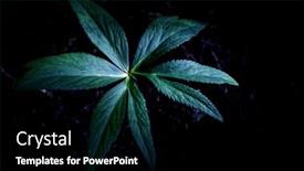  Presentation with basketball abstract dark basketball - Audience pleasing PPT theme consisting of dark-abstract-leaf-nature-background backdrop and a black colored foreground