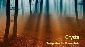  Presentation with dark forest - Audience pleasing presentation consisting of dark autumn forest backdrop and a tawny brown colored foreground