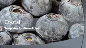 Presentation with berries - PPT layouts with dark berries as fruit background and a  colored foreground