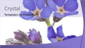  Presentation with dark flower - Cool new PPT layouts with dark-blue-forget backdrop and a light blue colored foreground