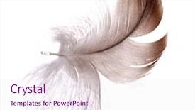  Presentation with feather - Amazing theme having dark feather isolated on white backdrop and a sky blue colored foreground